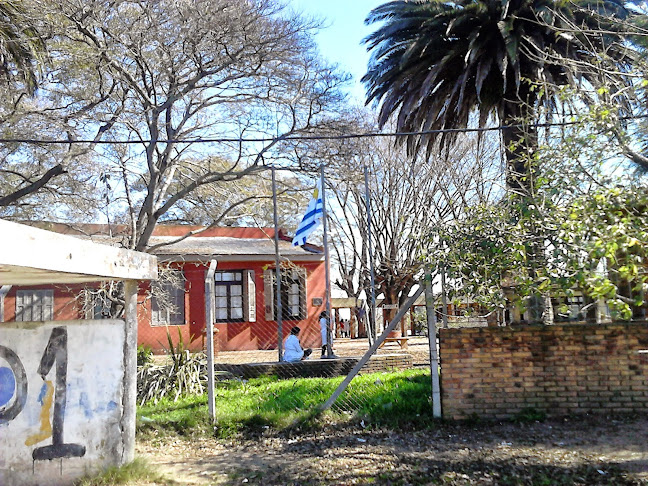 Opiniones de Escuela 142 y 398 Republica Del Peru en Montevideo - Escuela