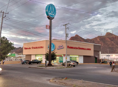Farmacia Guadalajara, , Heroica Guaymas