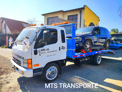 MTS Servicio de grúa y transporte