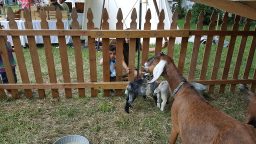 National Park «George Rogers Clark National Historical Park», reviews and photos, 401 S 2nd St, Vincennes, IN 47591, USA