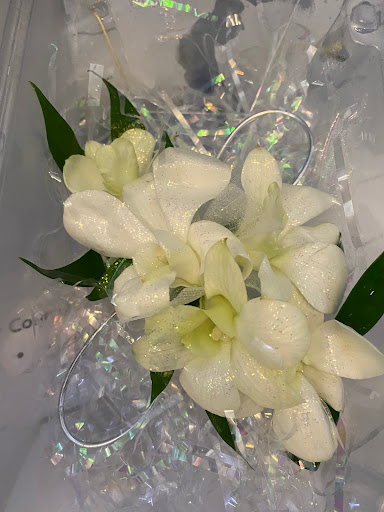 Florist «Always In Bloom Florist», reviews and photos, 872 17th St, Vero Beach, FL 32960, USA