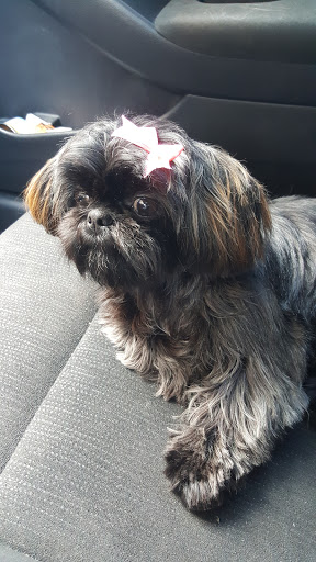 Pet Supply Store «PetSmart», reviews and photos, 5214 Blanche Moore Dr, Corpus Christi, TX 78411, USA