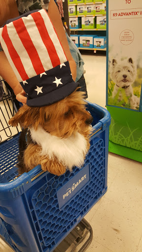 Pet Supply Store «PetSmart», reviews and photos, 198 Promenade Blvd, Flowood, MS 39232, USA