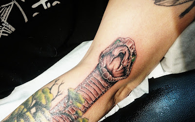 Fredd'Ink à Mulhouse