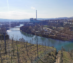 Muckensturm photo