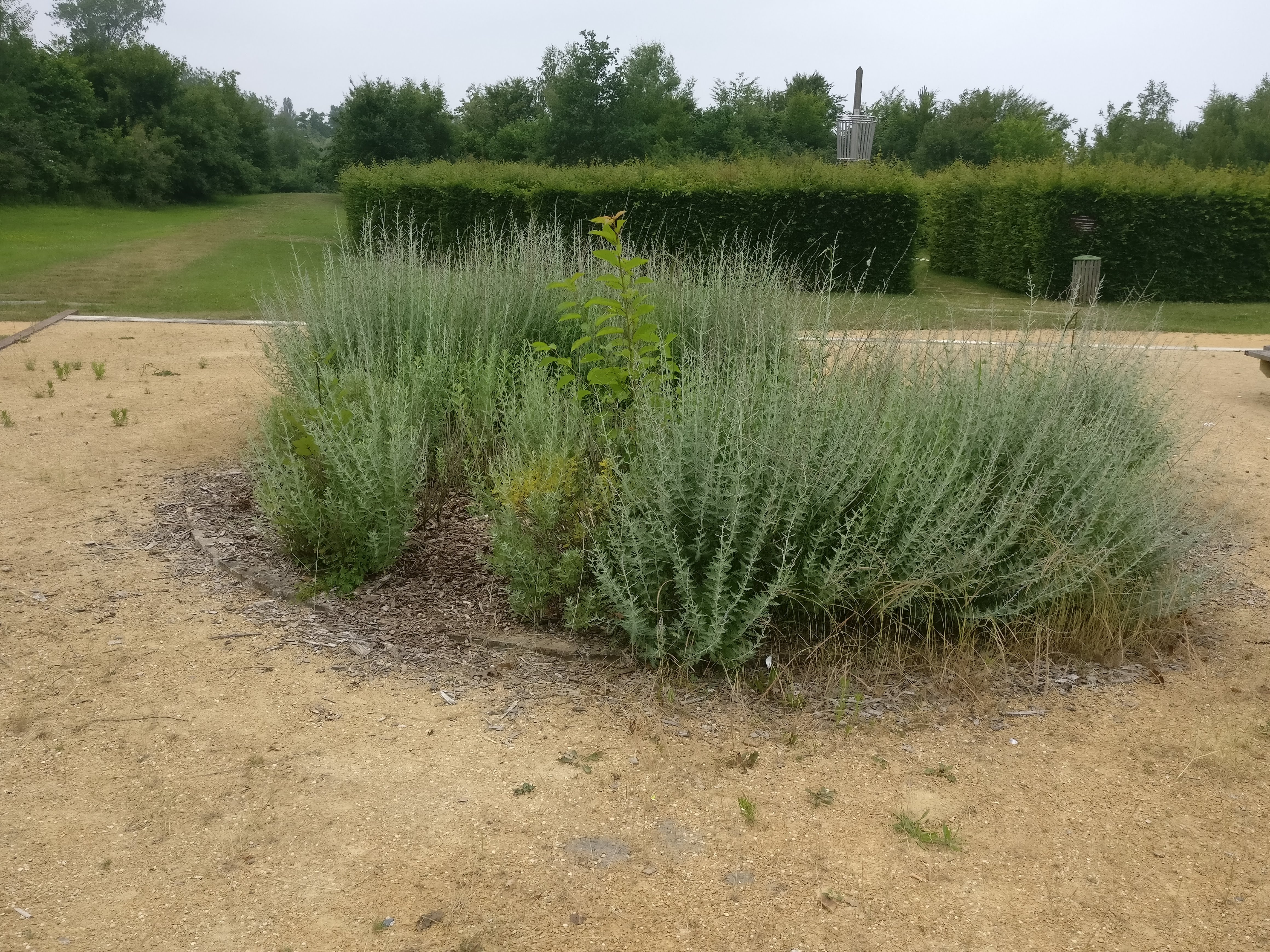 Photo n° 3 de l'avis de Andre.o fait le 17/06/2018 à 17:22