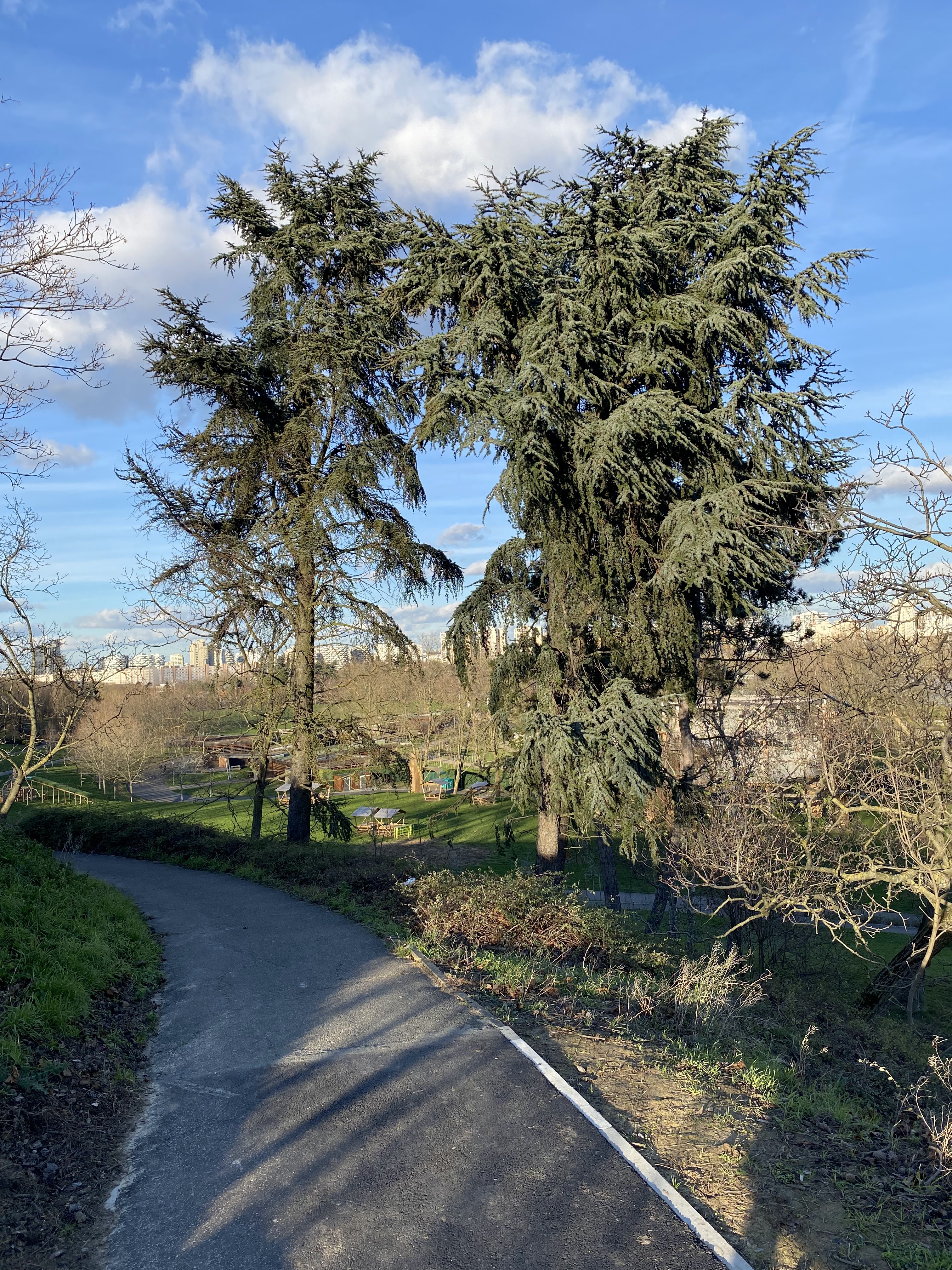 Photo n° 43 de l'avis de jérémie-louis.D fait le 16/01/2024 à 00:35