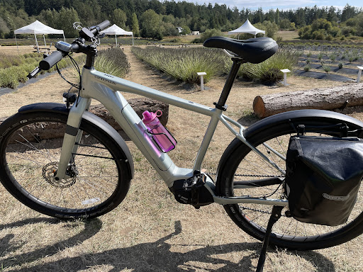 Bicycle Store «Meat Machine Cycles», reviews and photos, 22 Web St, Friday Harbor, WA 98250, USA