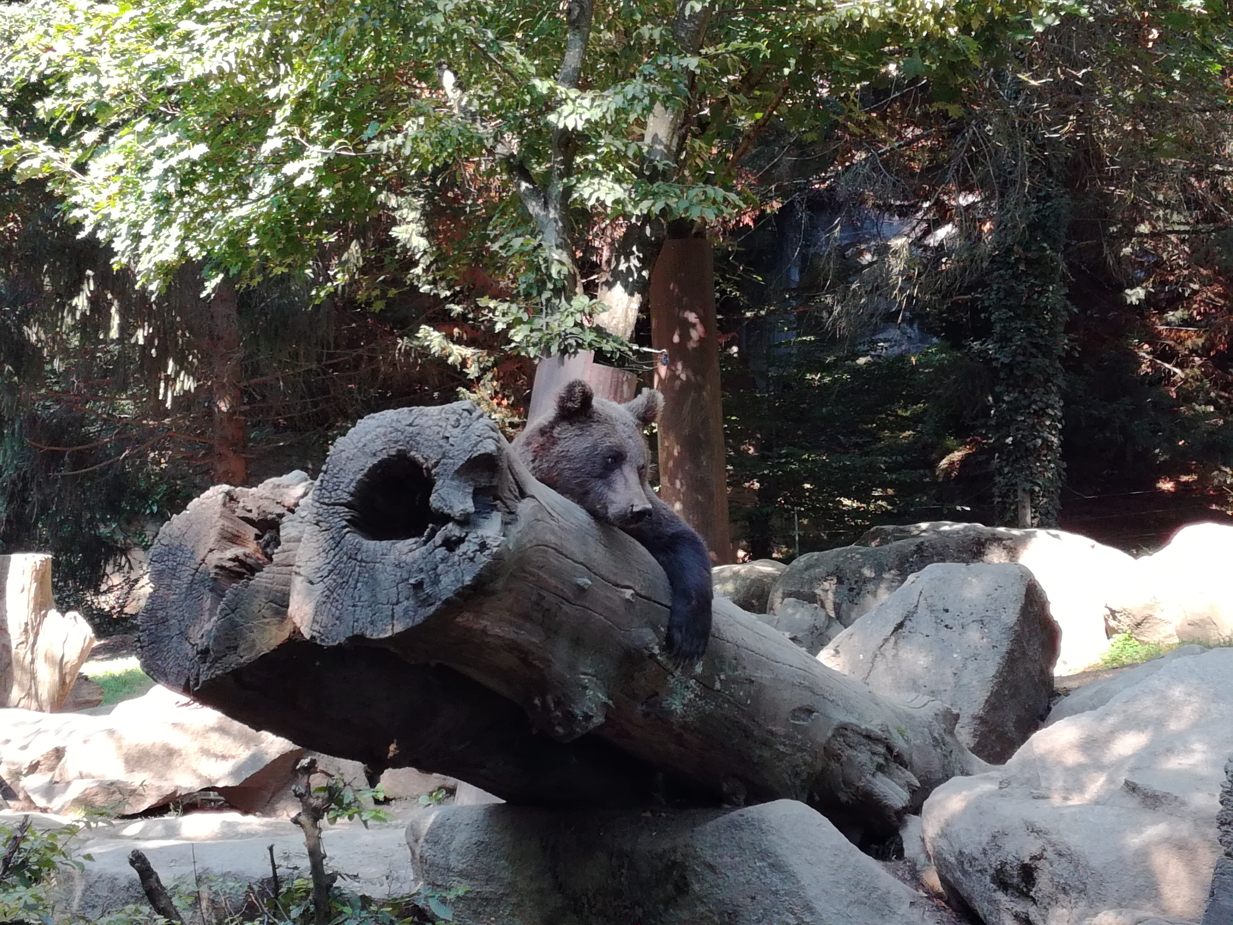 Photo n° 16 de l'avis de Belasco.i fait le 09/08/2021 à 10:20