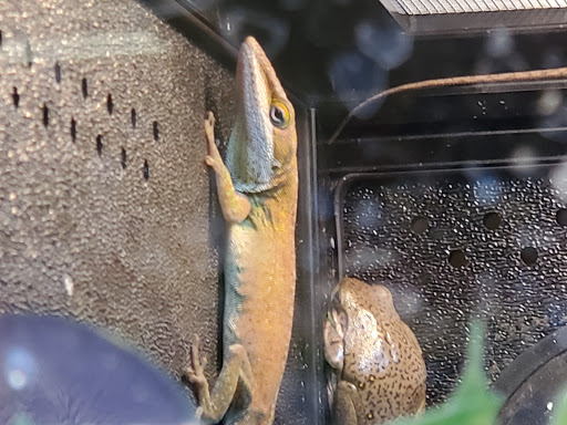 Pet Supply Store «PetSmart», reviews and photos, 1621 E Monte Vista Ave b, Vacaville, CA 95688, USA