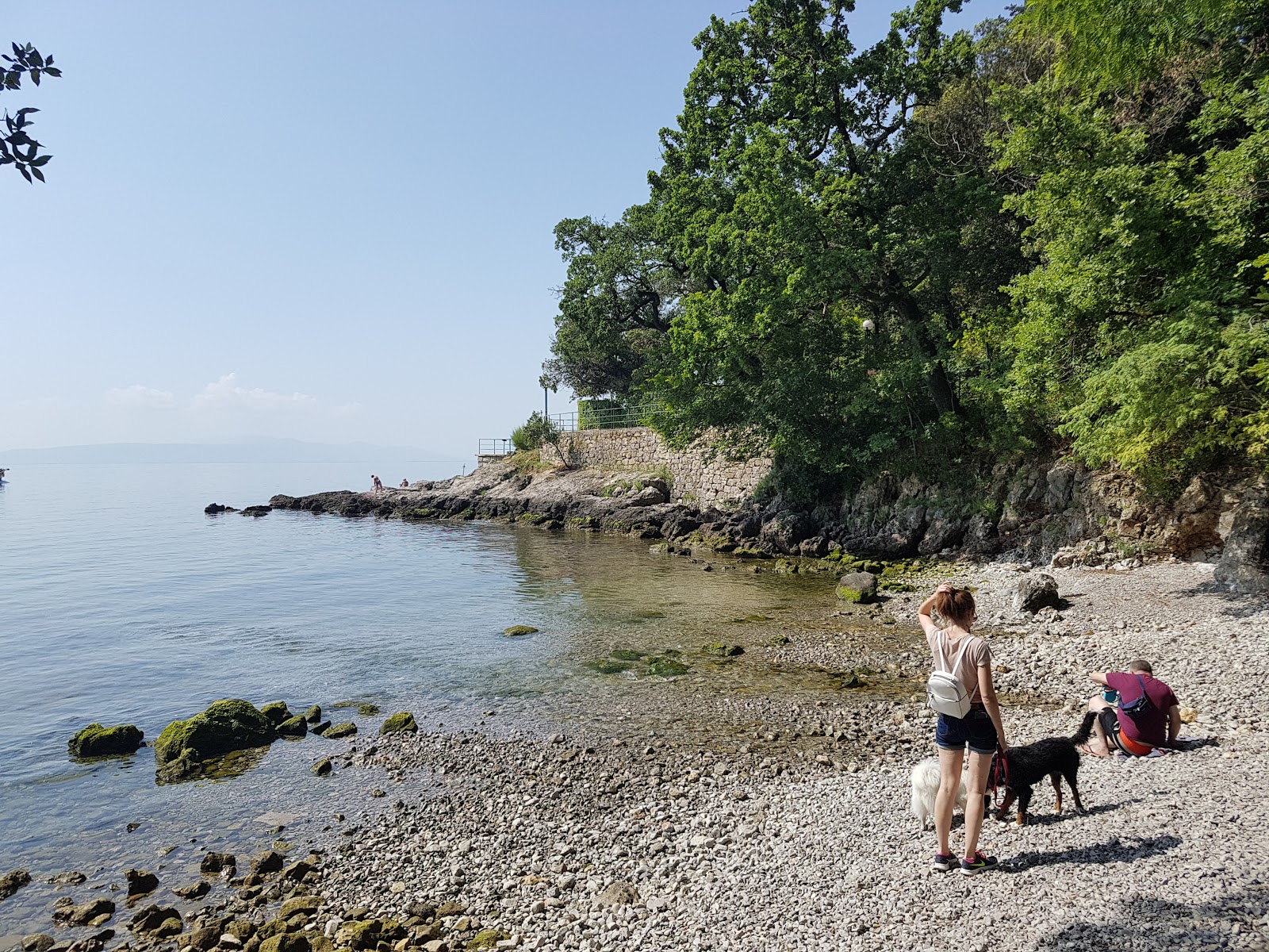 Zdjęcie Lovran Dog Beach obszar udogodnień