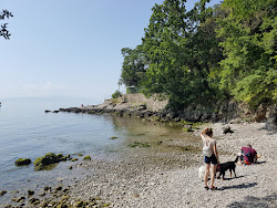 Zdjęcie Lovran Dog Beach obszar udogodnień