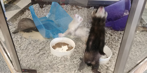 Pet Supply Store «Petco Animal Supplies», reviews and photos, 513 S Mason Rd, Katy, TX 77450, USA