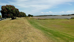 Birds Beach photo #6