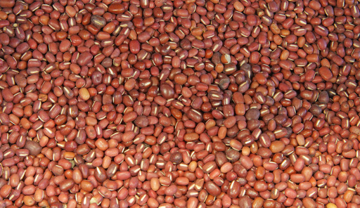 Health Food Store «Sustain Natural Market», reviews and photos, 3060 E Semoran Blvd #100, Apopka, FL 32703, USA