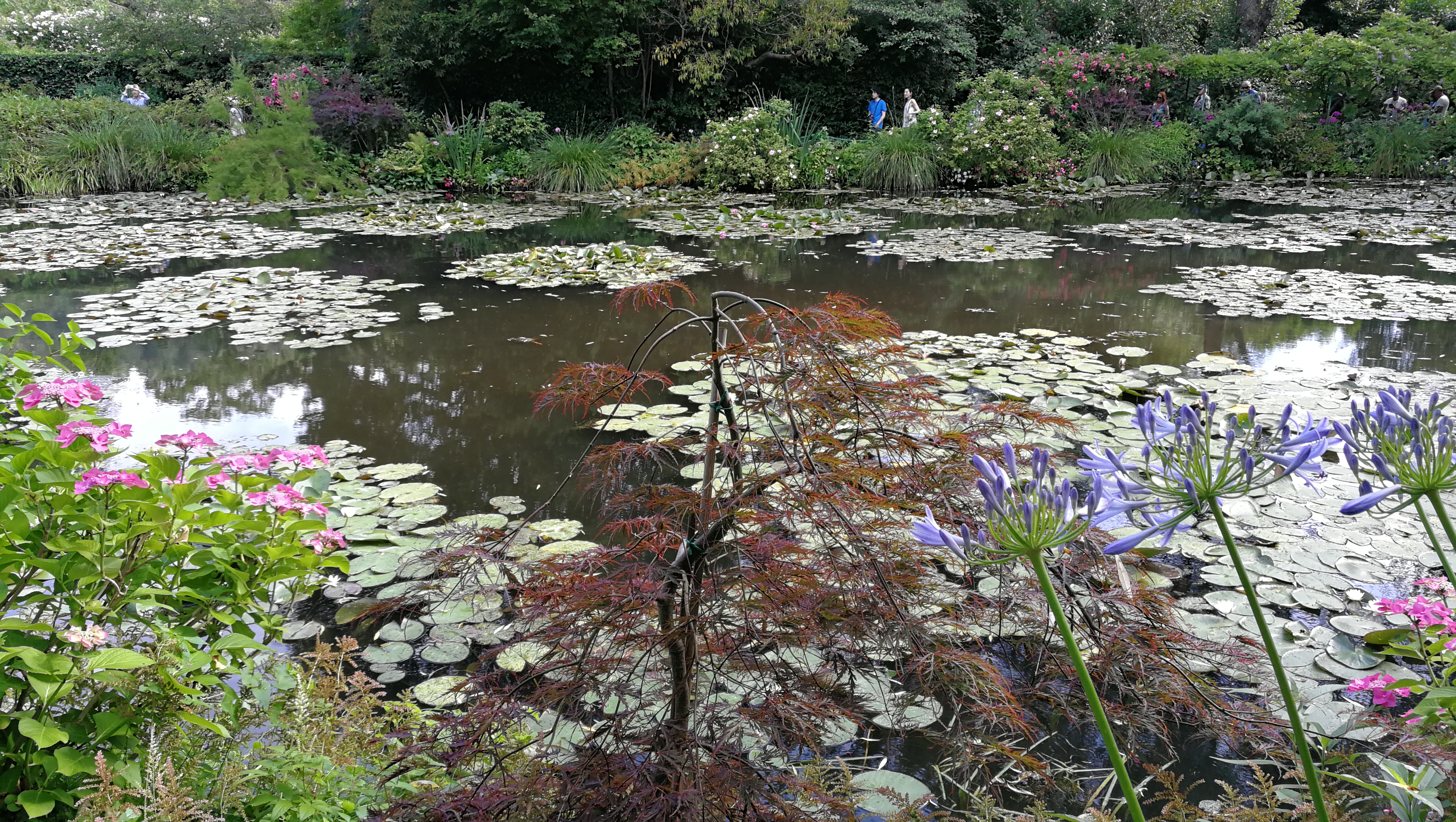 Photo n° 13 de l'avis de barbe.e fait le 10/07/2018 à 17:25