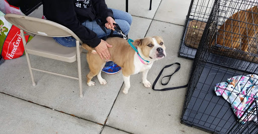 Pet Supply Store «PetSmart», reviews and photos, 1391 S Commons Dr, Myrtle Beach, SC 29588, USA