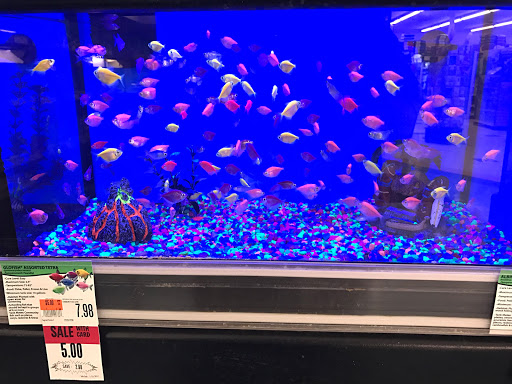 Pet Supply Store «Pet Supplies Plus», reviews and photos, 100 Mall Dr, Steubenville, OH 43952, USA