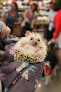 Chuck & Don's Pet Food & Supplies - Photo 3 - Car repair in Longmont, CO, Longmont