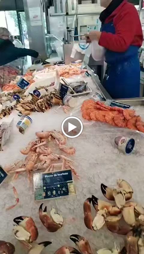 Photo n° 1 de l'avis de Laure.i fait le 30/12/2023 à 08:08