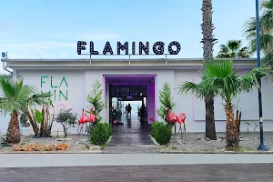 Flamingo Lounge Antalya image