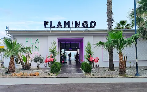 Flamingo Lounge Antalya image