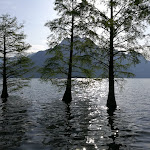 Photo n°1 de l'avis de Marilisa.e fait le 02/05/2018 à 16:11 sur le  Trenta Passi Ristorante Pizzeria à Riva di Solto