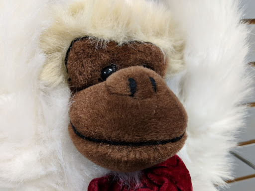 Thrift Store «Tried & True Thrift Store», reviews and photos, 35004 W Michigan Ave, Wayne, MI 48184, USA