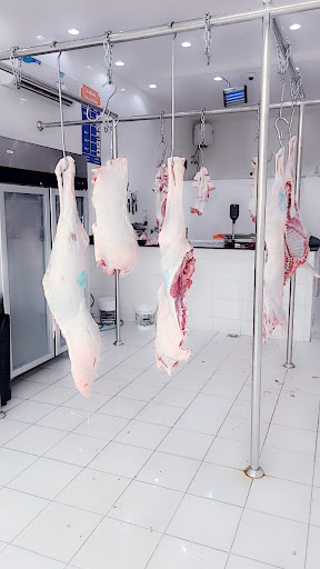 ملحمة أنعام بلادي خلف السعودي الالماني 