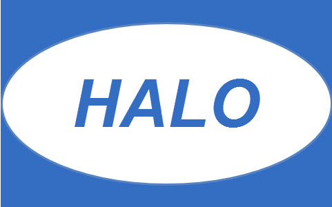 Halo Salesforce Consulting