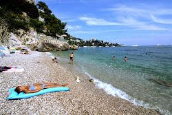 Plage d'Eze-sur-Mer'in fotoğrafı çok temiz temizlik seviyesi ile
