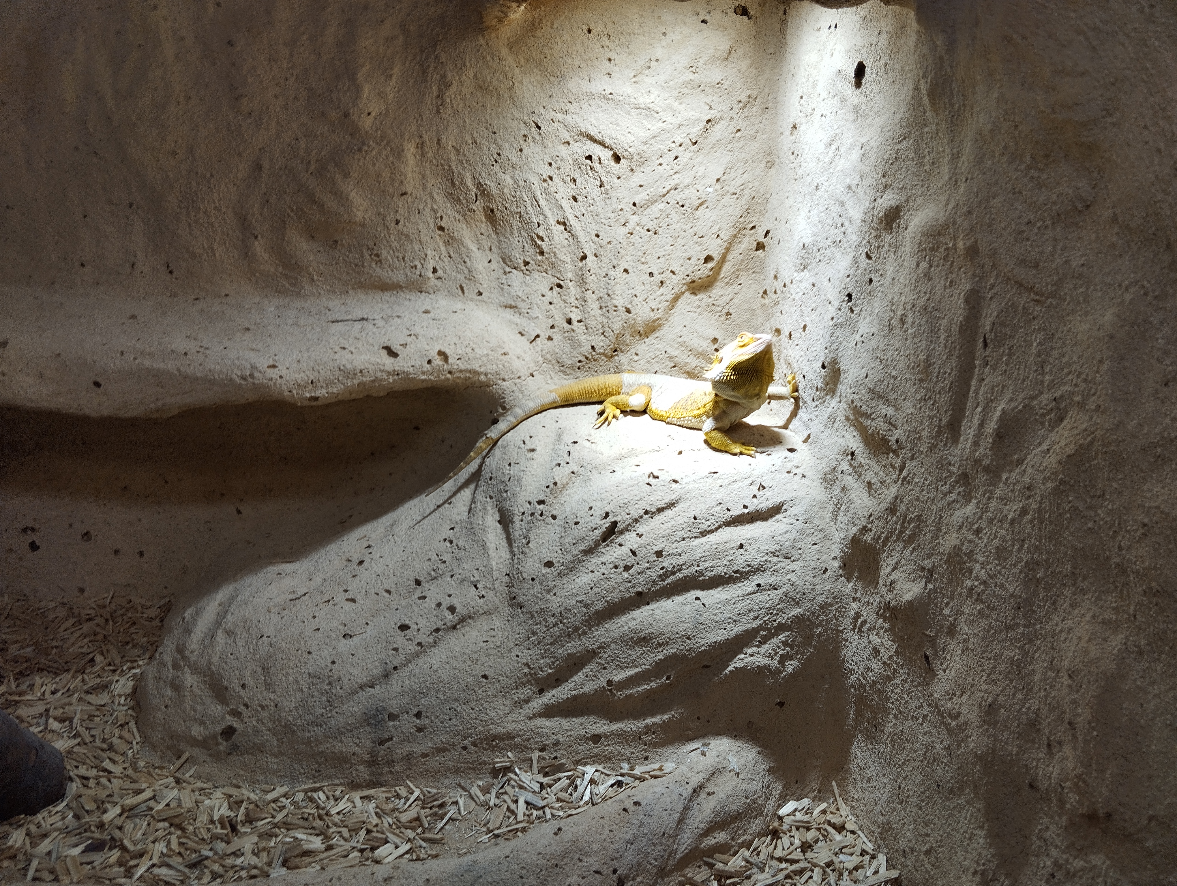 Photo n° 7 de l'avis de Seb.e fait le 17/07/2023 à 19:09