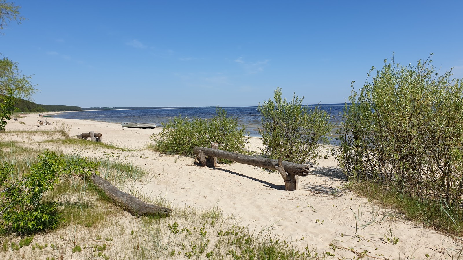 Foto av Plienciema kapa beach med hög nivå av renlighet