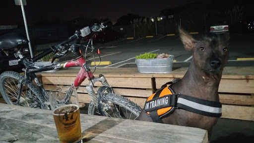 47 Hills Brewing Company image