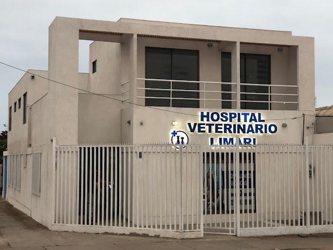 Opiniones de Hospital Veterinario Limari en Arica - Veterinario