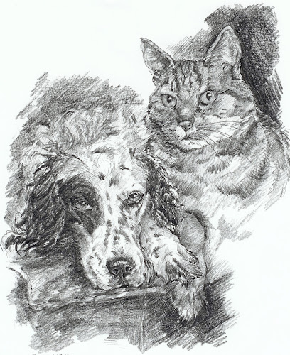 FeliCan - Hund und Katze