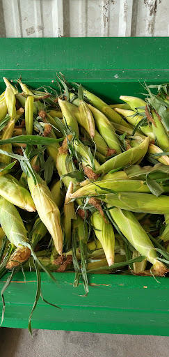 Produce Market «Nelson Family Farms», reviews and photos, 875 W Midway Rd, Fort Pierce, FL 34982, USA