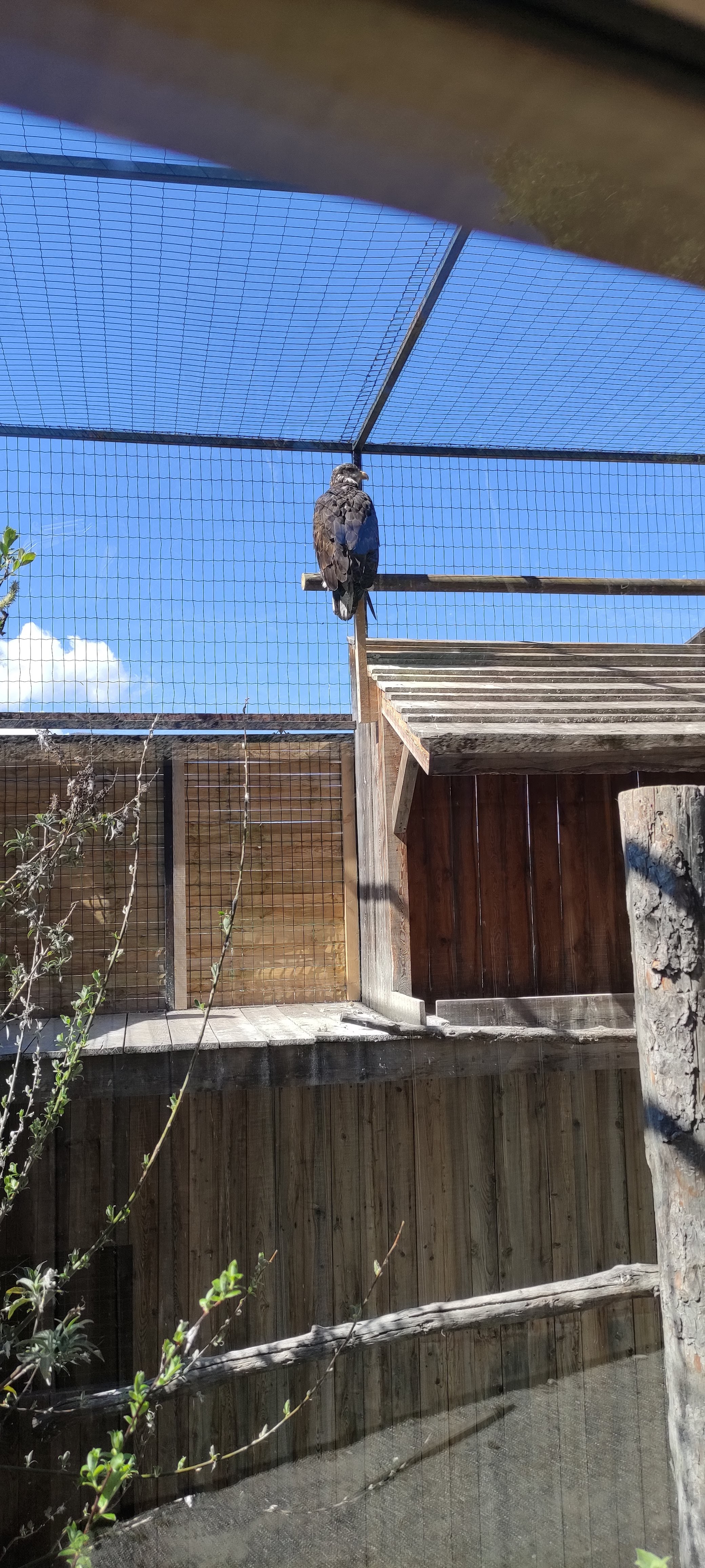 Photo n° 13 de l'avis de Alexia.a fait le 20/04/2023 à 07:36