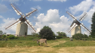 Moulins du Terrier Marteau à Pouzauges