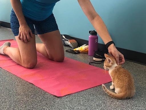 Gym «Genesis Health Clubs - Overland Park», reviews and photos, 6700 W 110th St, Overland Park, KS 66211, USA