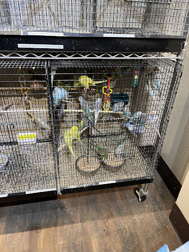 Pet Store «Alley Cat Pet Center», reviews and photos, 8700 NE Vancouver Mall Dr, Vancouver, WA 98662, USA