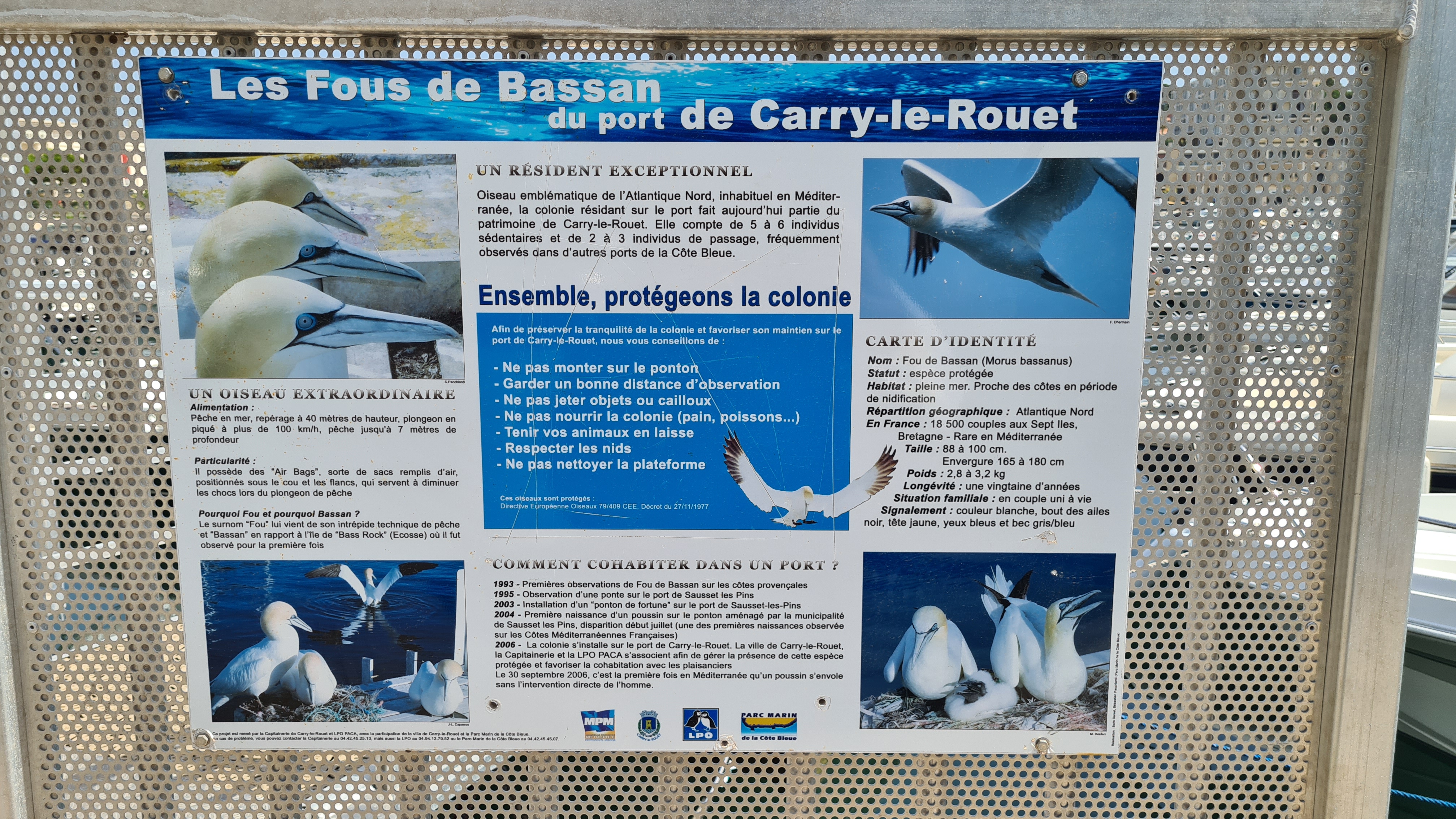 Photo n° 9 de l'avis de Angy.P fait le 14/08/2021 à 22:13