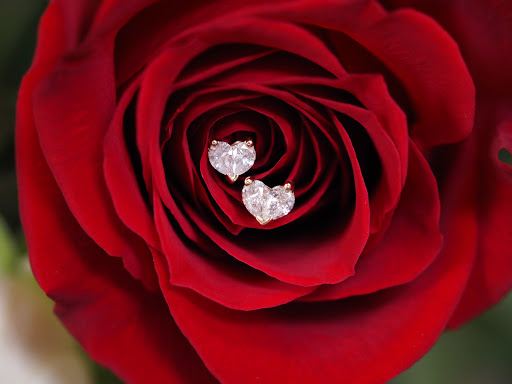 Jewelry Designer «Polgold Jewelers», reviews and photos, 63 Cabot St, Chicopee, MA 01013, USA