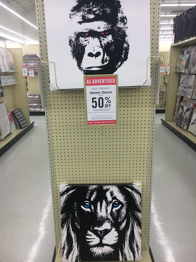 Craft Store «Hobby Lobby», reviews and photos, 2722 N Salisbury Blvd #1, Salisbury, MD 21801, USA