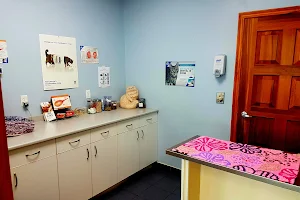 Newmarket Animal Hospital image