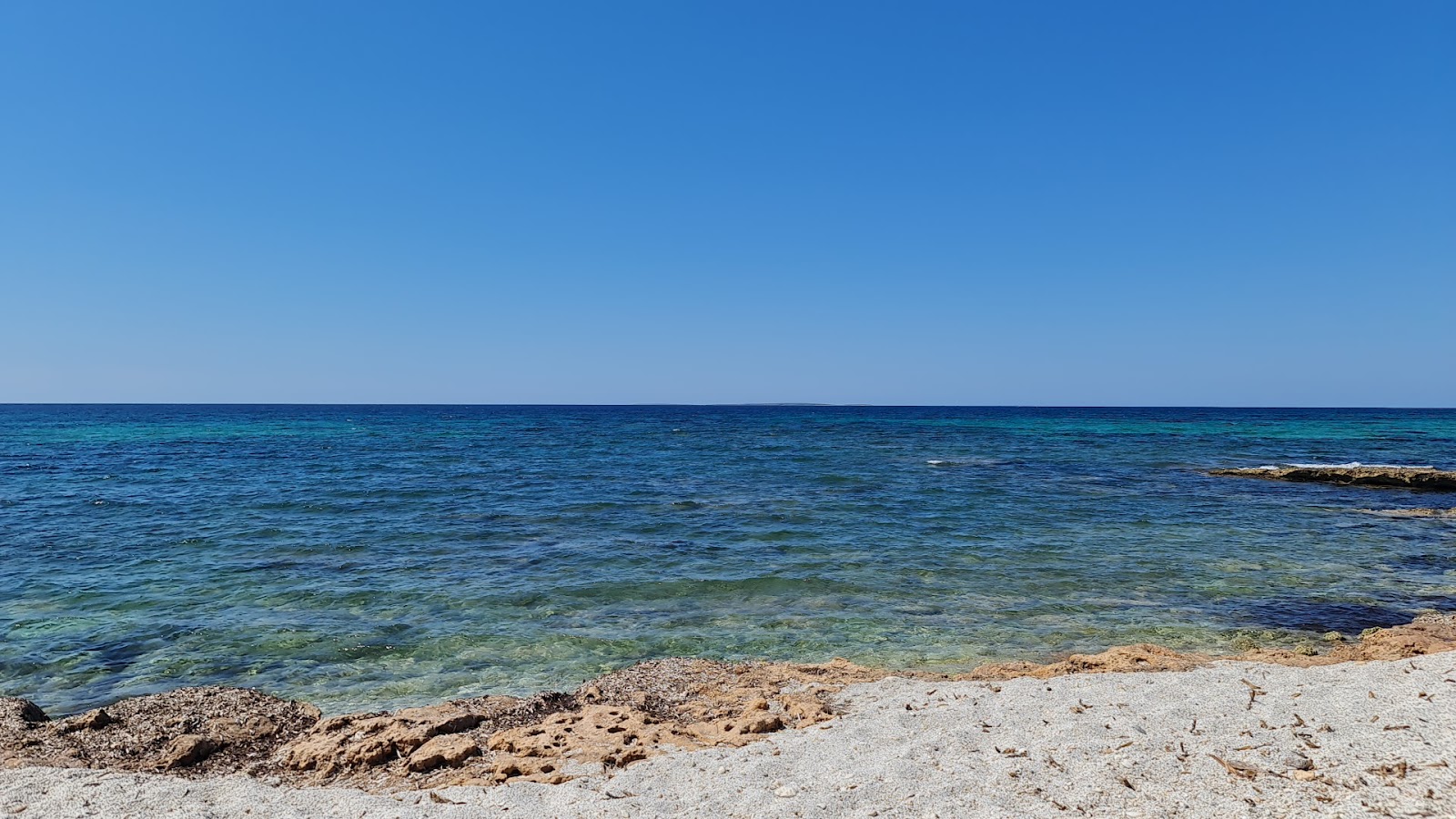 Spiaggia le Saline的照片 位于自然区域