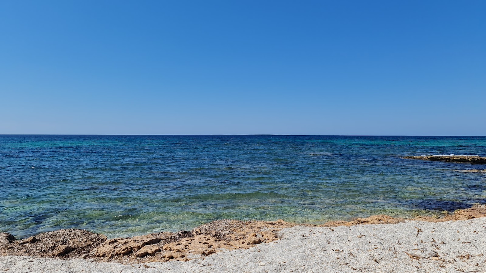 Saline Cove'in fotoğrafı - rahatlamayı sevenler arasında popüler bir yer