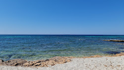 Saline Cove'in fotoğrafı - rahatlamayı sevenler arasında popüler bir yer