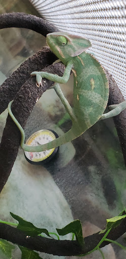 Pet Supply Store «Petco Animal Supplies», reviews and photos, 1680 Campbell Ln, Bowling Green, KY 42104, USA