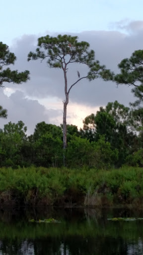 Golf Club «Eagle Marsh Golf Club», reviews and photos, 3869 NW Royal Oak Dr, Jensen Beach, FL 34957, USA